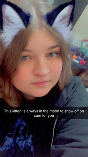 Profile content